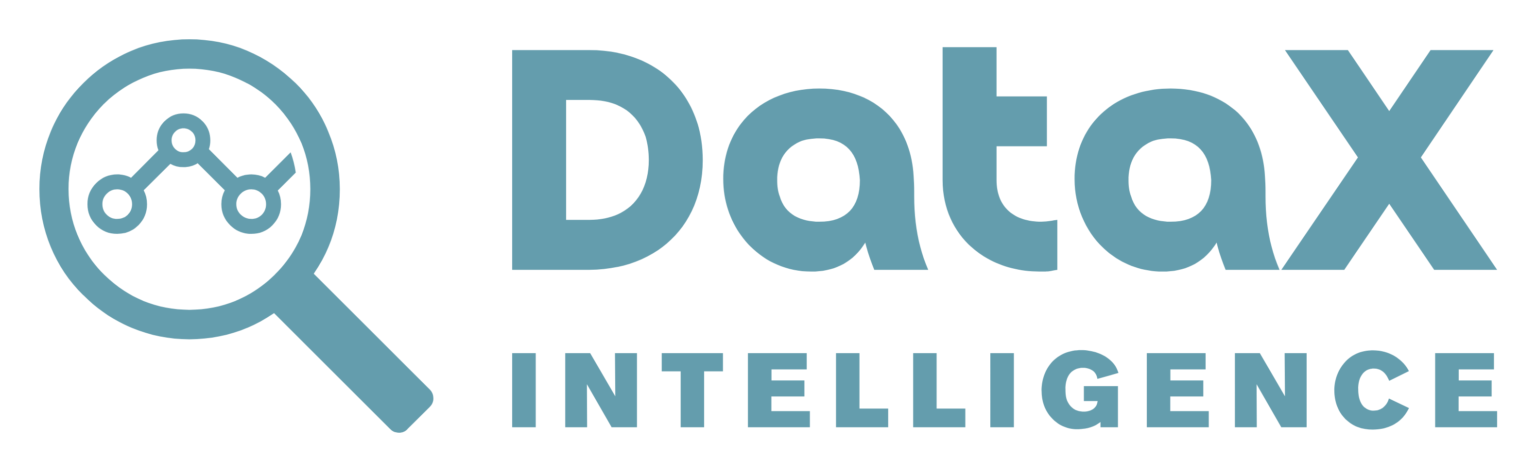 DataX Intelligence